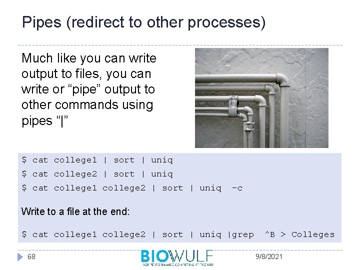 Pipes (redirect to other processes) Much like you can write output to files, you