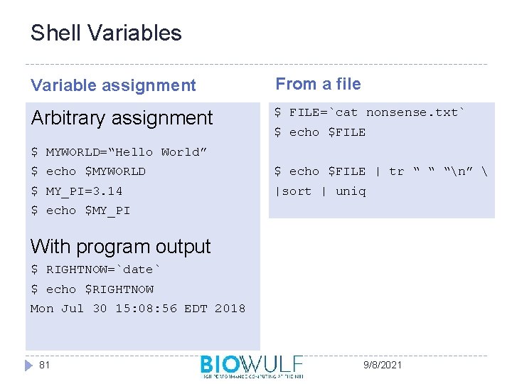 Shell Variables Variable assignment From a file Arbitrary assignment $ FILE=`cat nonsense. txt` $