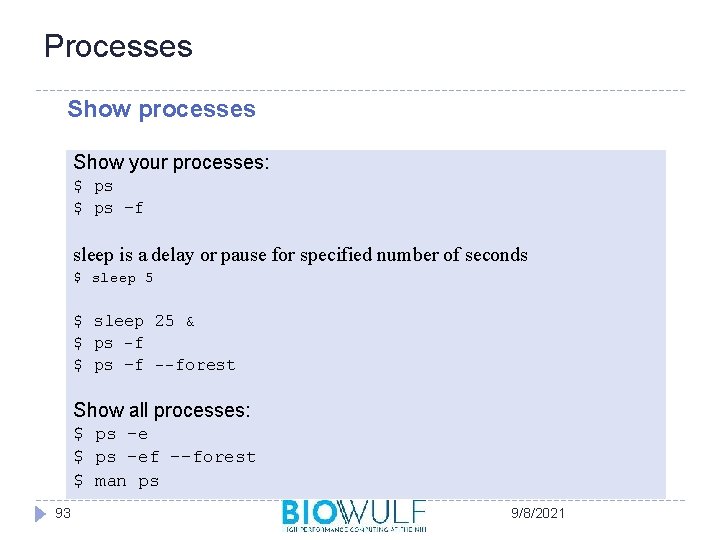 Processes Show processes Show your processes: $ ps –f sleep is a delay or