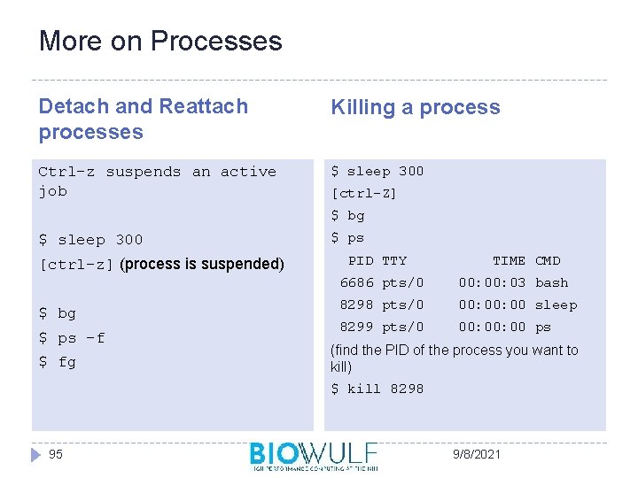 More on Processes Detach and Reattach processes Killing a process Ctrl-z suspends an active