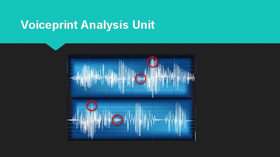 Voiceprint Analysis Unit 