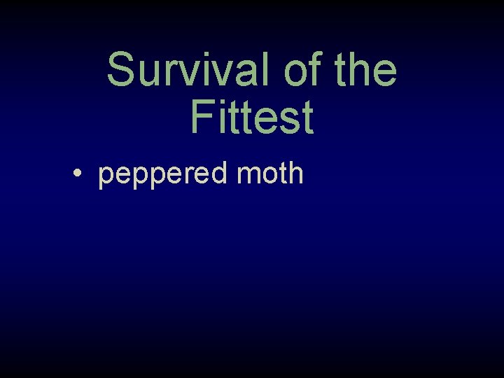 Survival of the Fittest • peppered moth 