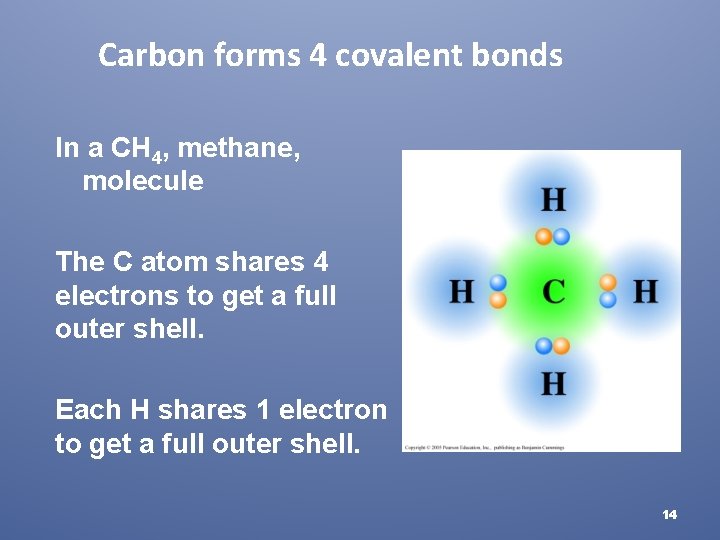 Carbon forms 4 covalent bonds In a CH 4, methane, molecule The C atom