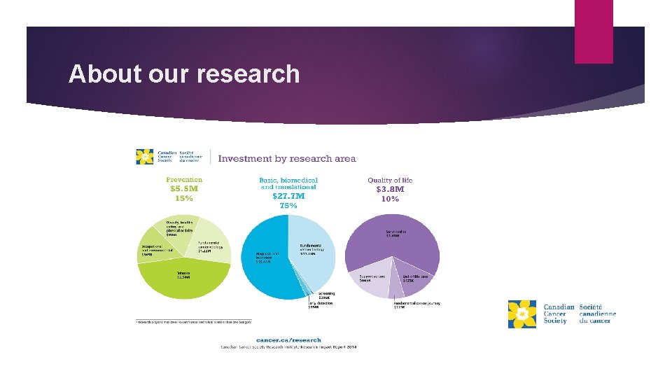 About our research 