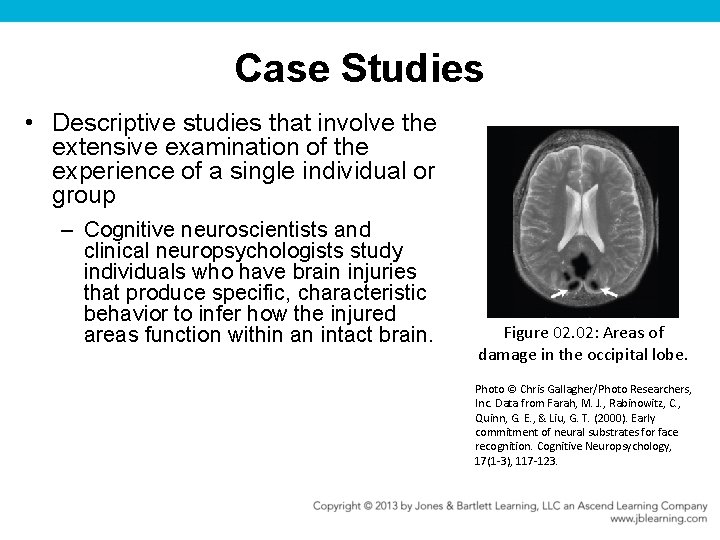 Case Studies • Descriptive studies that involve the extensive examination of the experience of