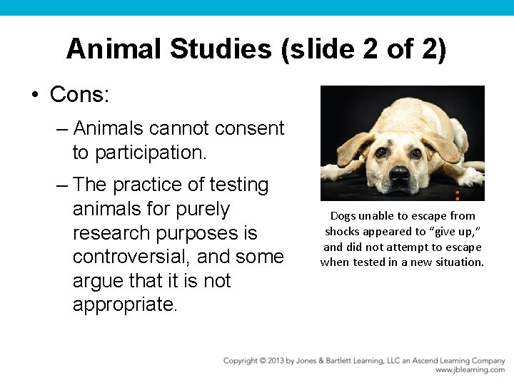 Animal Studies (slide 2 of 2) • Cons: – Animals cannot consent to participation.