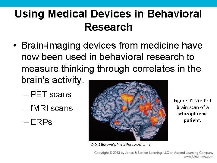 Using Medical Devices in Behavioral Research • Brain-imaging devices from medicine have now been