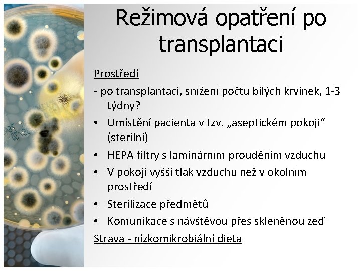 Režimová opatření po transplantaci Prostředí - po transplantaci, snížení počtu bílých krvinek, 1 -3
