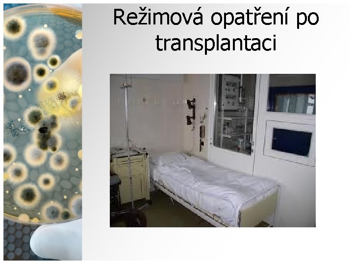 Režimová opatření po transplantaci 