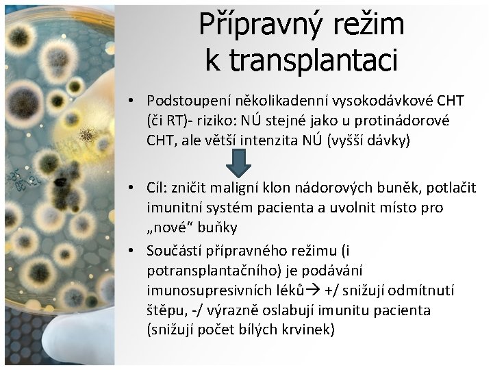 Přípravný režim k transplantaci • Podstoupení několikadenní vysokodávkové CHT (či RT)- riziko: NÚ stejné