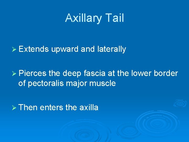 Axillary Tail Ø Extends upward and laterally Ø Pierces the deep fascia at the