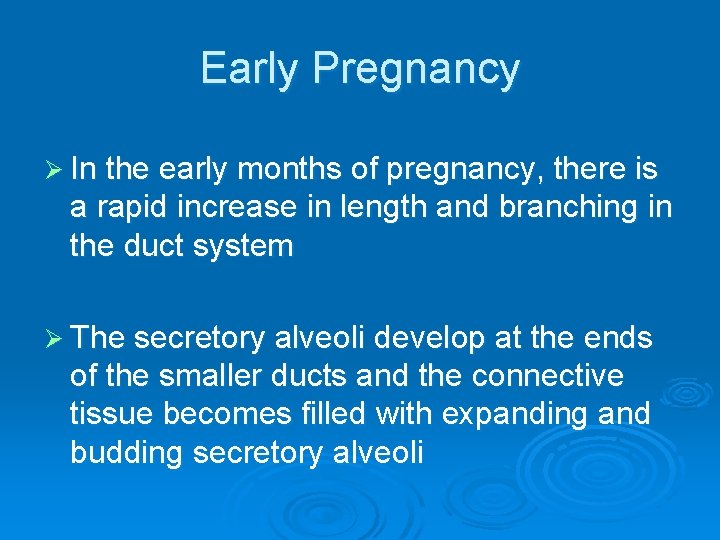 Early Pregnancy Ø In the early months of pregnancy, there is a rapid increase