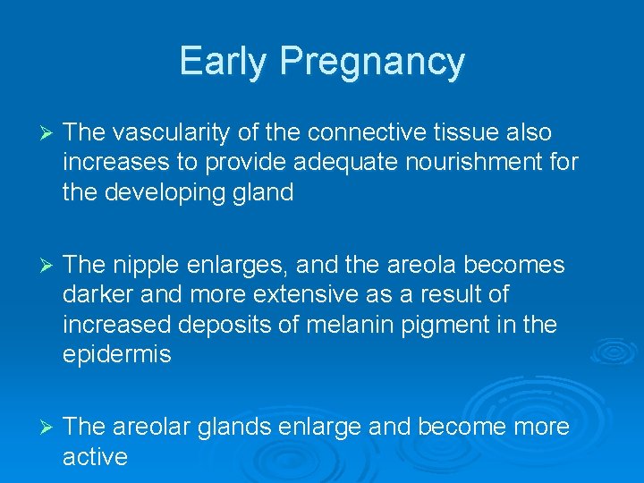 Early Pregnancy Ø The vascularity of the connective tissue also increases to provide adequate