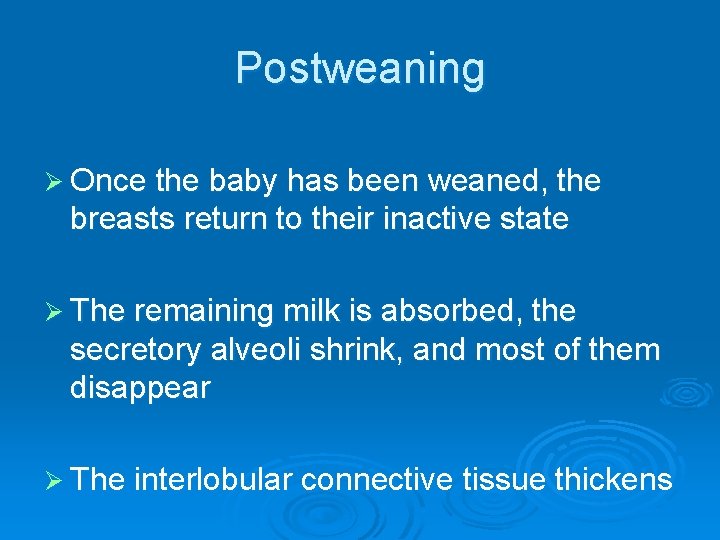 Postweaning Ø Once the baby has been weaned, the breasts return to their inactive