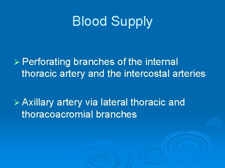 Blood Supply Ø Perforating branches of the internal thoracic artery and the intercostal arteries