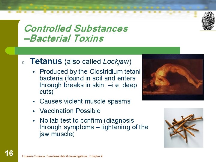 Controlled Substances —Bacterial Toxins o Tetanus (also called Lockjaw) • Produced by the Clostridium