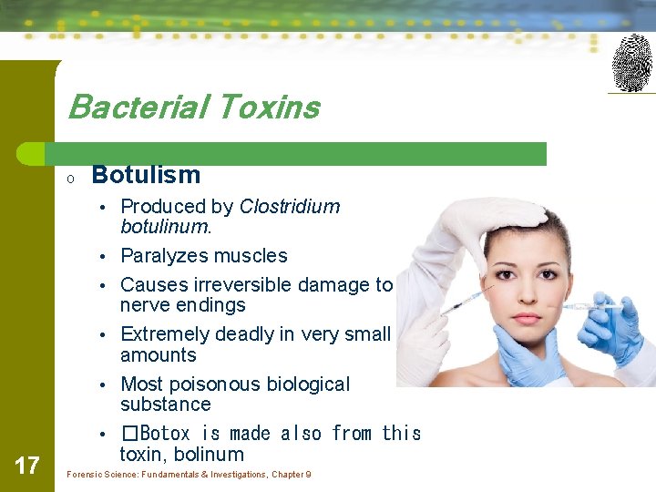 Bacterial Toxins o Botulism • Produced by Clostridium • • • 17 botulinum. Paralyzes