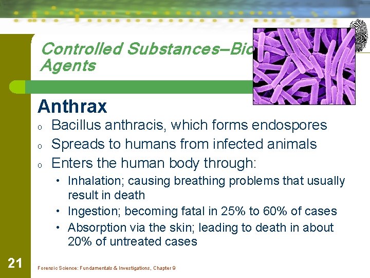 Controlled Substances—Bioterrorism Agents Anthrax o o o Bacillus anthracis, which forms endospores Spreads to