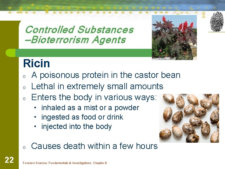 Controlled Substances —Bioterrorism Agents Ricin o o o A poisonous protein in the castor