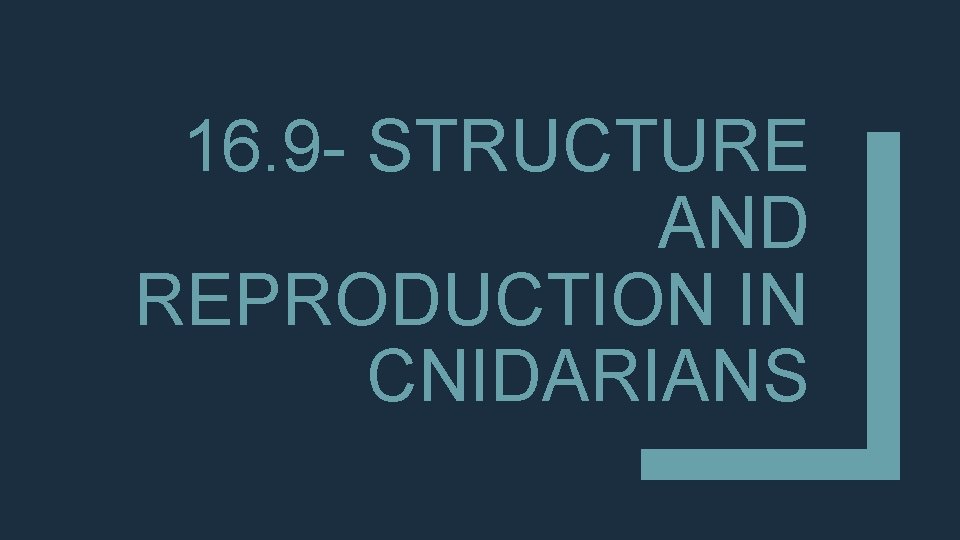 16. 9 - STRUCTURE AND REPRODUCTION IN CNIDARIANS 