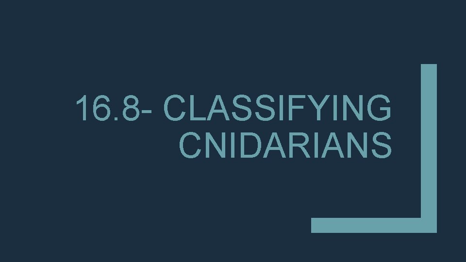 16. 8 - CLASSIFYING CNIDARIANS 