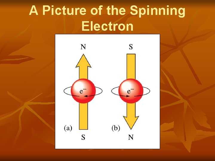 A Picture of the Spinning Electron 