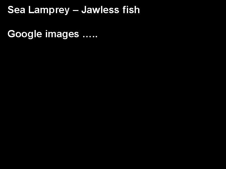 Sea Lamprey – Jawless fish Google images …. . 