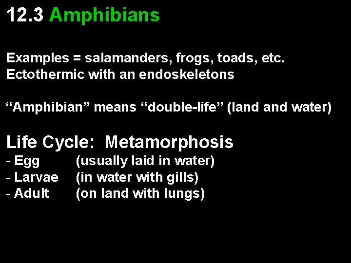 12. 3 Amphibians Examples = salamanders, frogs, toads, etc. Ectothermic with an endoskeletons “Amphibian”