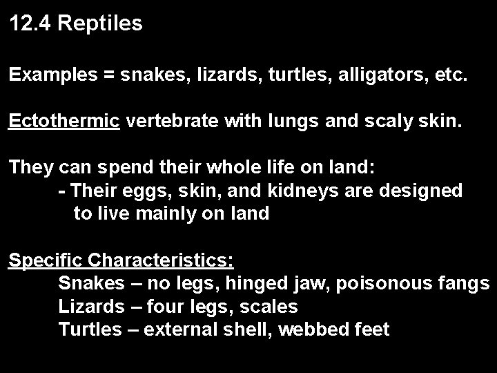 12. 4 Reptiles Examples = snakes, lizards, turtles, alligators, etc. Ectothermic vertebrate with lungs