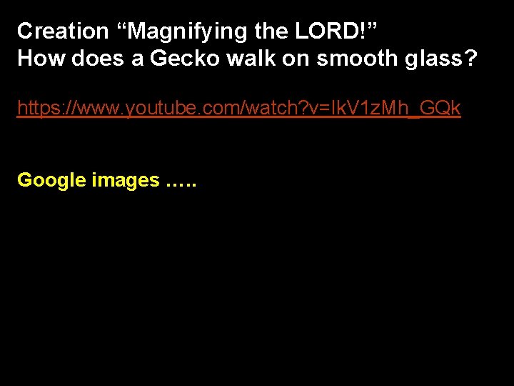 Creation “Magnifying the LORD!” How does a Gecko walk on smooth glass? https: //www.