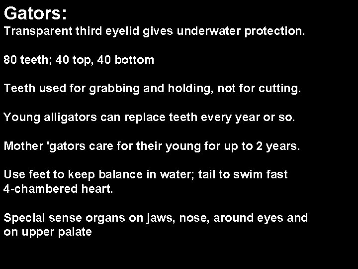 Gators: Transparent third eyelid gives underwater protection. 80 teeth; 40 top, 40 bottom Teeth