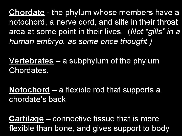 Chordate - the phylum whose members have a notochord, a nerve cord, and slits