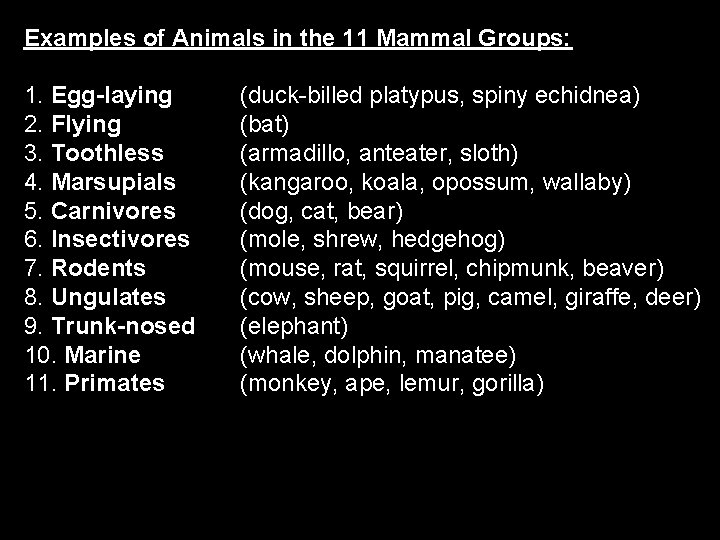 Examples of Animals in the 11 Mammal Groups: 1. Egg-laying 2. Flying 3. Toothless
