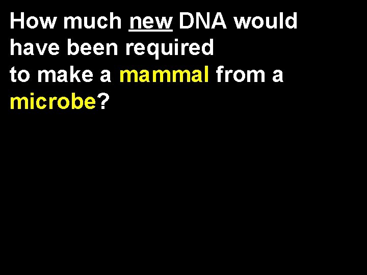 How much new DNA would have been required to make a mammal from a