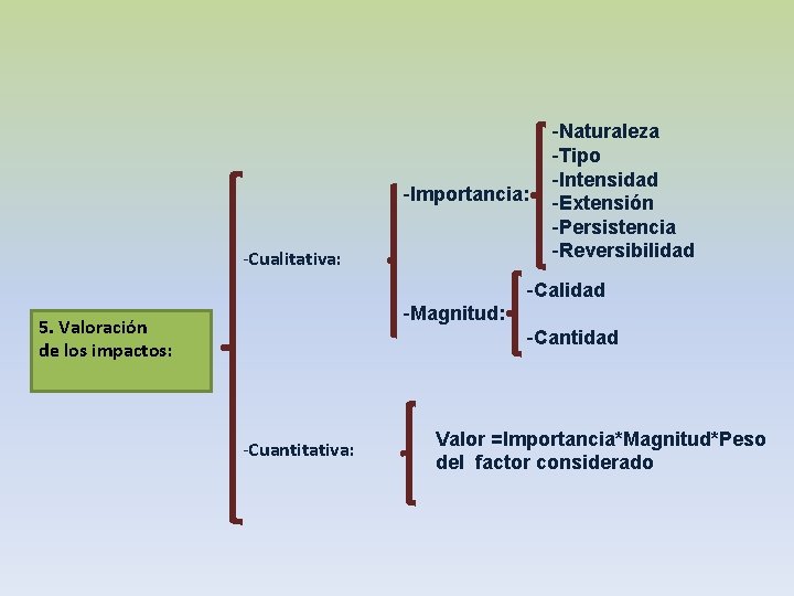 -Importancia: -Cualitativa: -Naturaleza -Tipo -Intensidad -Extensión -Persistencia -Reversibilidad -Calidad -Magnitud: 5. Valoración de los