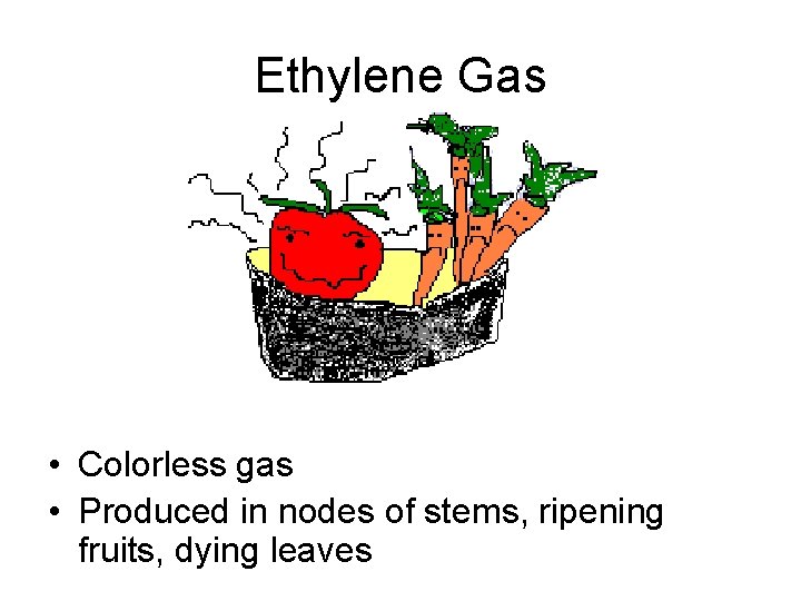 Ethylene Gas • Colorless gas • Produced in nodes of stems, ripening fruits, dying