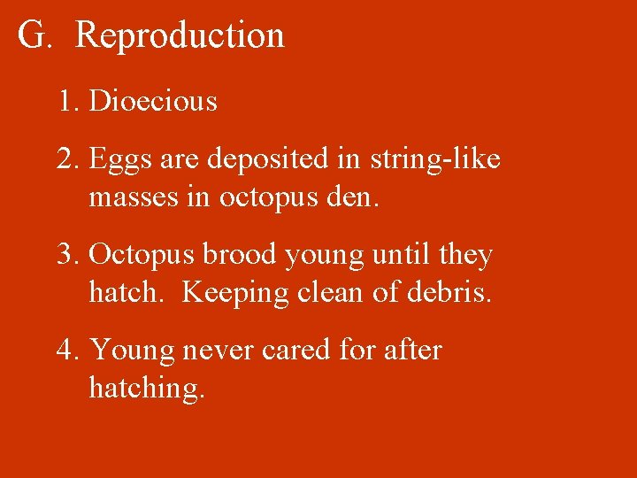 G. Reproduction 1. Dioecious 2. Eggs are deposited in string-like masses in octopus den.