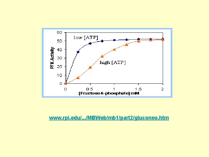 www. rpi. edu/. . . /MBWeb/mb 1/part 2/gluconeo. htm 