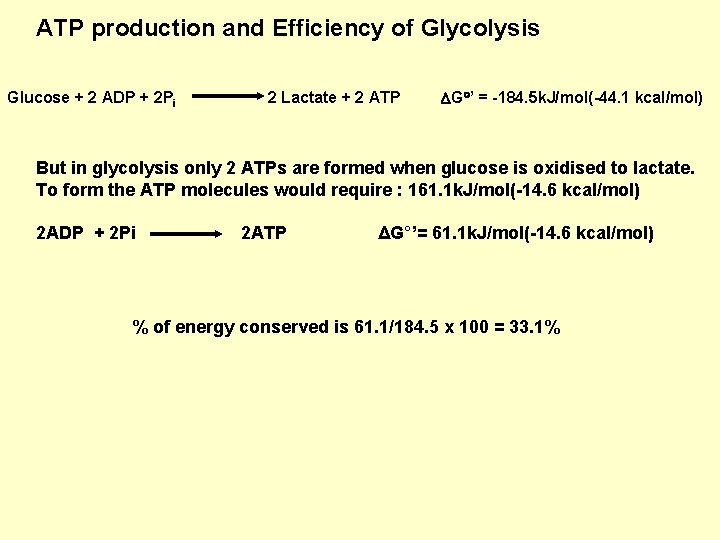 ATP production and Efficiency of Glycolysis Glucose + 2 ADP + 2 Pi 2