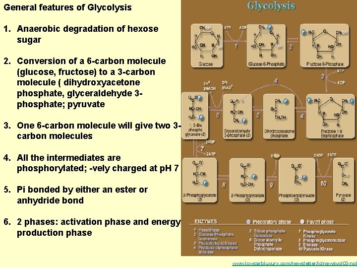 General features of Glycolysis 1. Anaerobic degradation of hexose sugar 2. Conversion of a