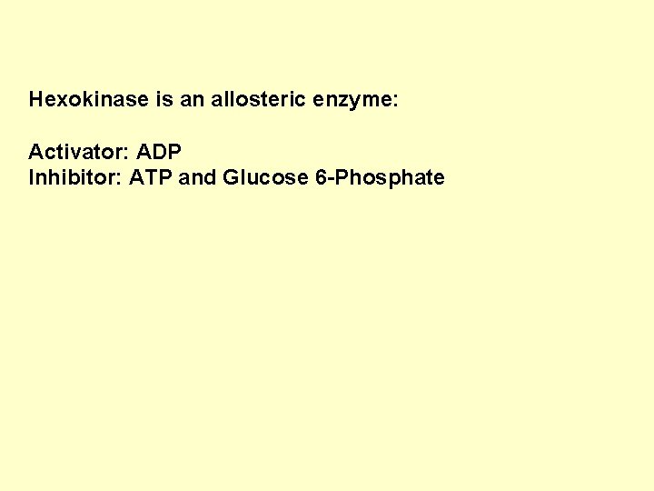 Hexokinase is an allosteric enzyme: Activator: ADP Inhibitor: ATP and Glucose 6 -Phosphate 