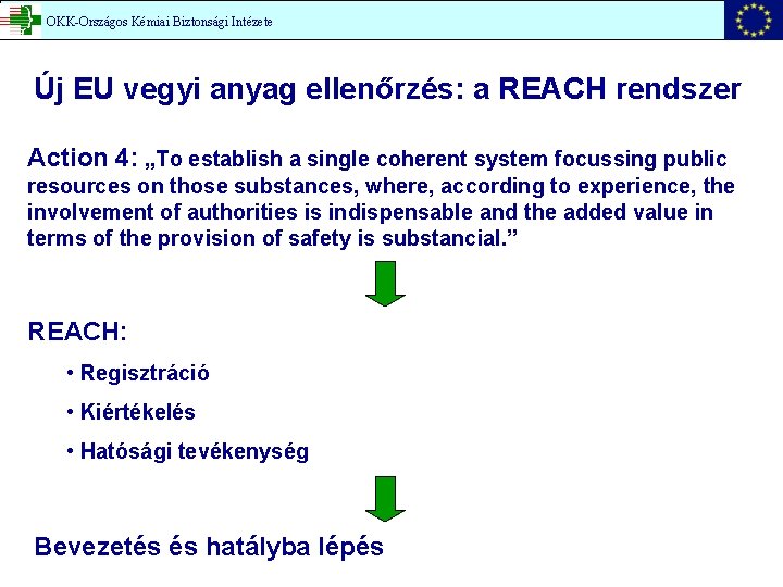 OKK-Országos Kémiai Biztonsági Intézete Új EU vegyi anyag ellenőrzés: a REACH rendszer Action 4: