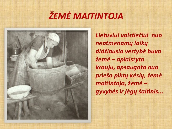 ŽEMĖ MAITINTOJA • Lietuviui valstiečiui nuo neatmenamų laikų didžiausia vertybė buvo žemė – aplaistyta