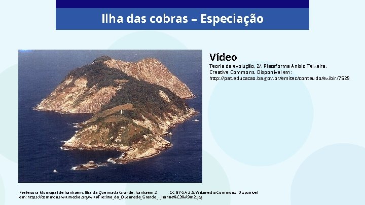 Ilha das cobras – Especiação Vídeo Teoria da evolução, 2/. Plataforma Anísio Teixeira. Creative