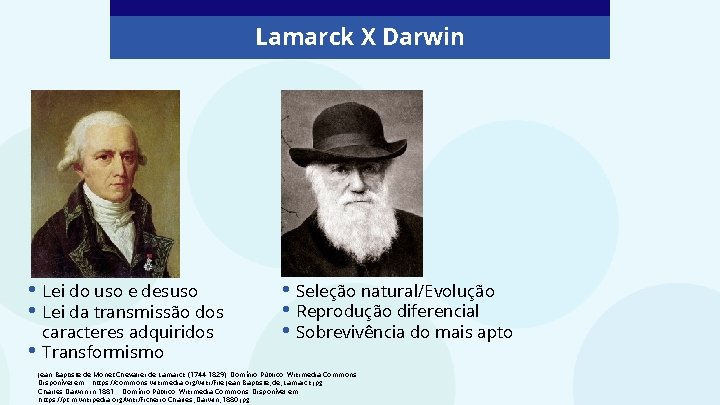 Lamarck X Darwin • Lei do uso e desuso • Lei da transmissão dos