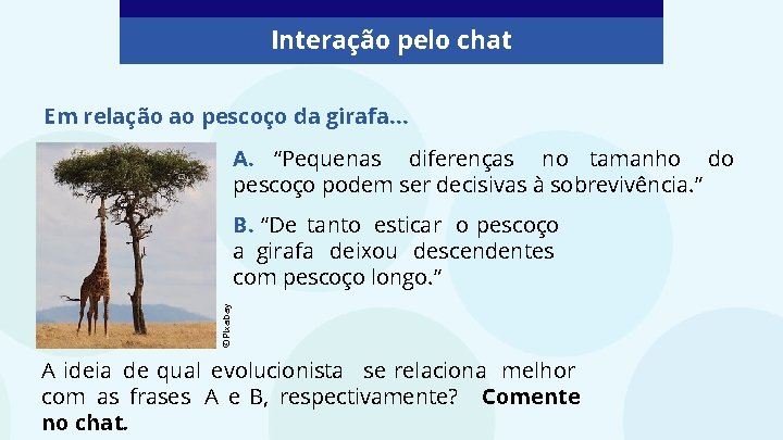 Interação pelo chat Em relação ao pescoço da girafa… A. “Pequenas diferenças no tamanho