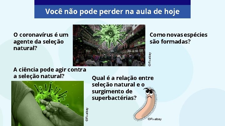 Você não pode perder na aula de hoje Como novas espécies são formadas? ©Pixabay