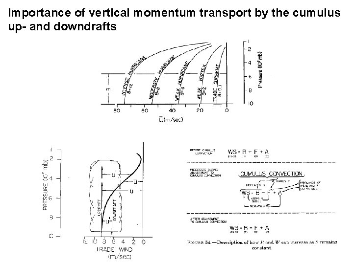 Importance of vertical momentum transport by the cumulus up- and downdrafts 