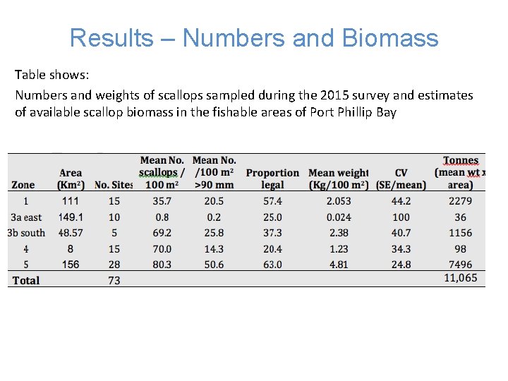 Results – Numbers and Biomass Table shows: Numbers and weights of scallops sampled during