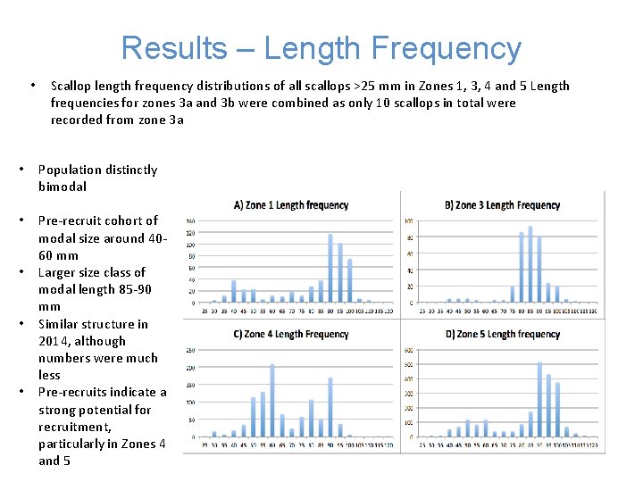 Results – Length Frequency • Scallop length frequency distributions of all scallops >25 mm